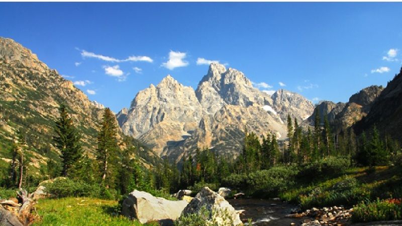 Locanda Gravity Haus Jackson Hole 3*